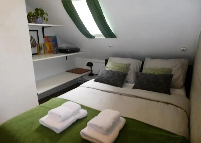 Hugo 民宿 奈梅亨