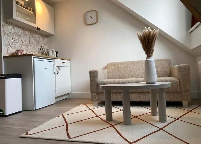 Hugo 民宿 奈梅亨